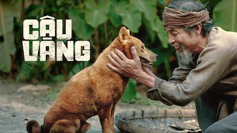 Cậu Vàng - The Old Man's Dog