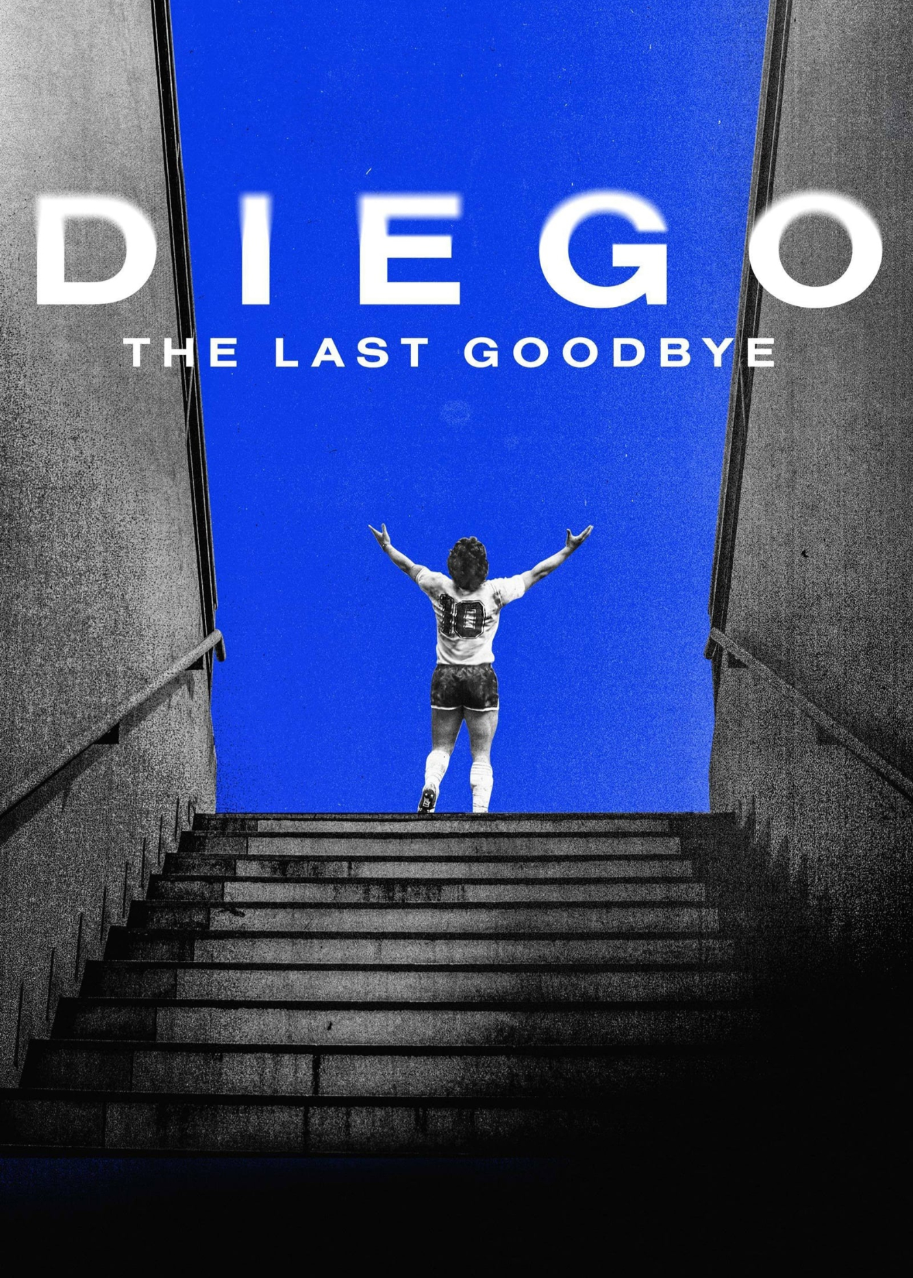 Diego: The Last Goodbye - Diego: The Last Goodbye