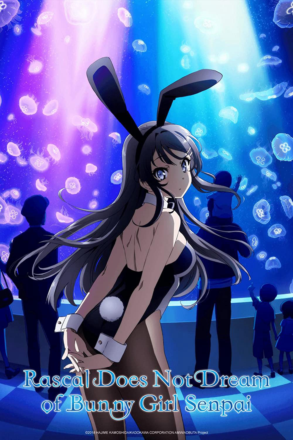 Hội chứng tuổi teen và cô gái có đôi tai thỏ - Rascal Does Not Dream of Bunny Girl Senpai