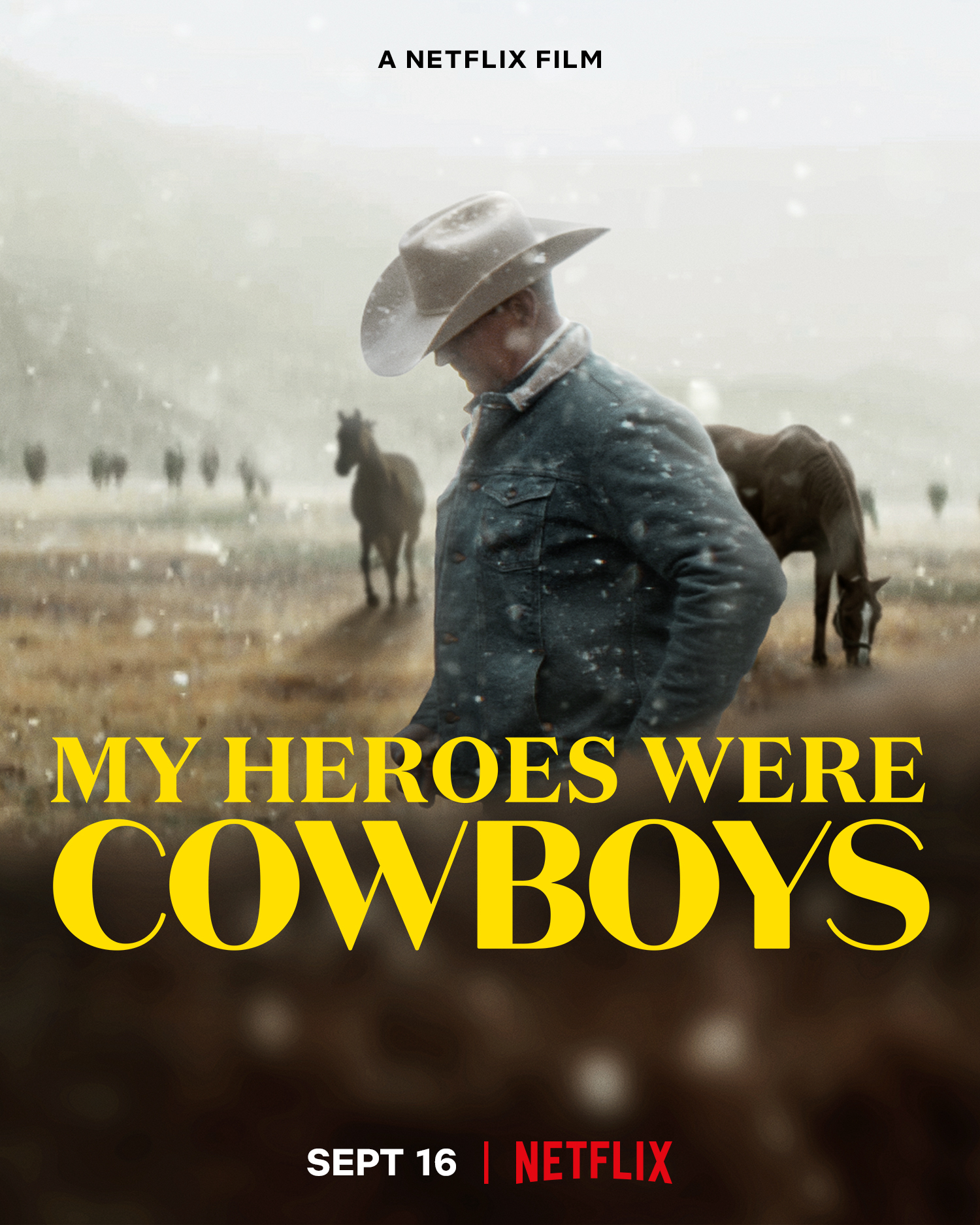 Người hùng cao bồi của tôi - My Heroes Were Cowboys