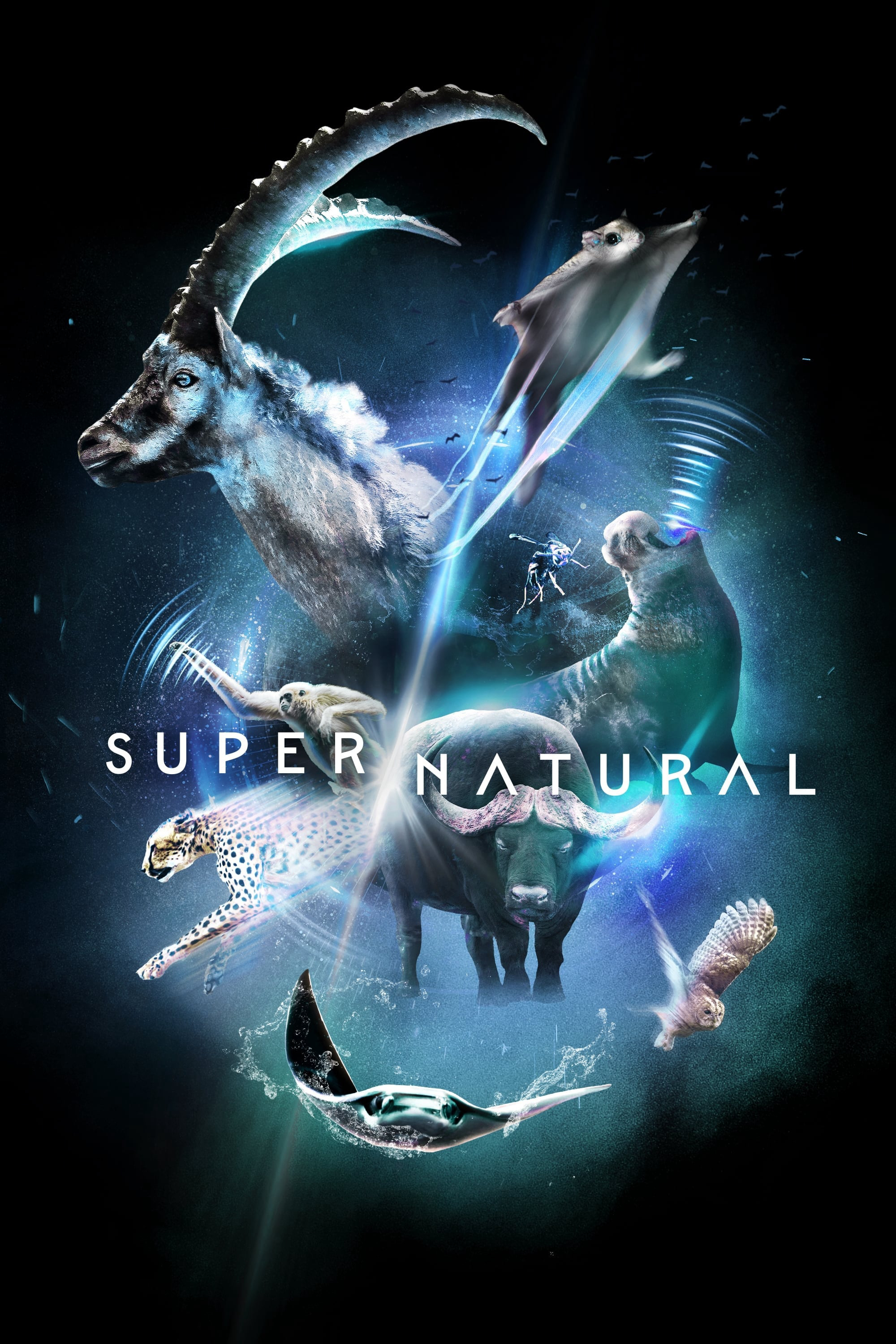 Super/Natural - Super/Natural